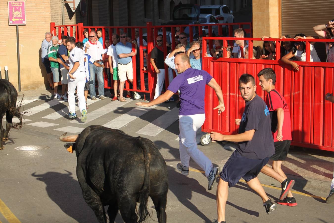 Día de huelga en Alfaro