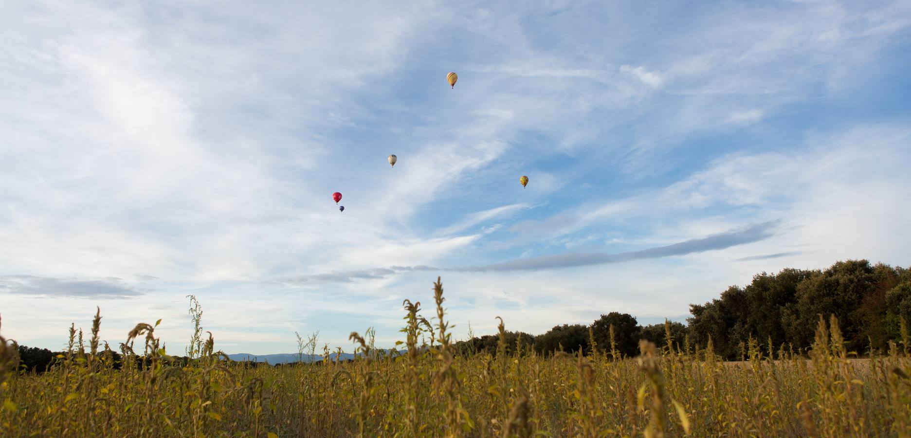 Globos en Haro (1)