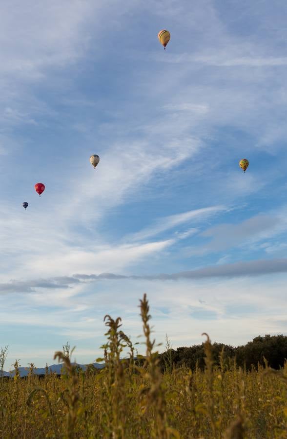 Globos en Haro (1)