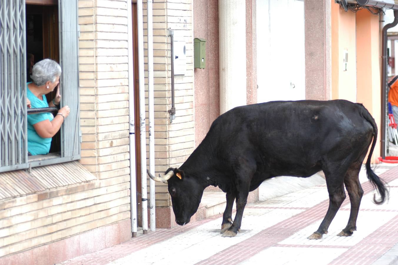 Cervera baja a su patrón del camarín