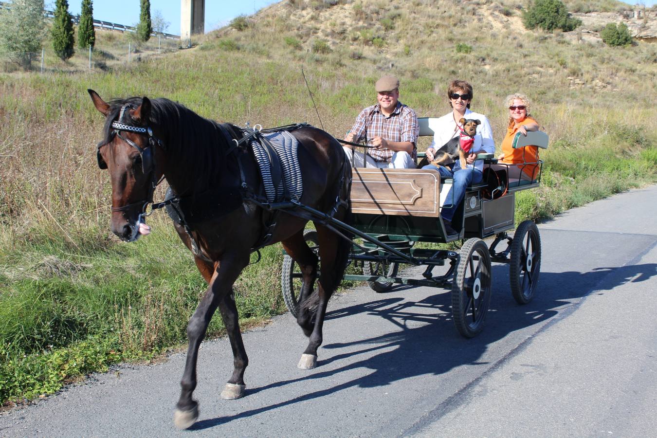 Romería del primer domingo de septiembre a San Felices