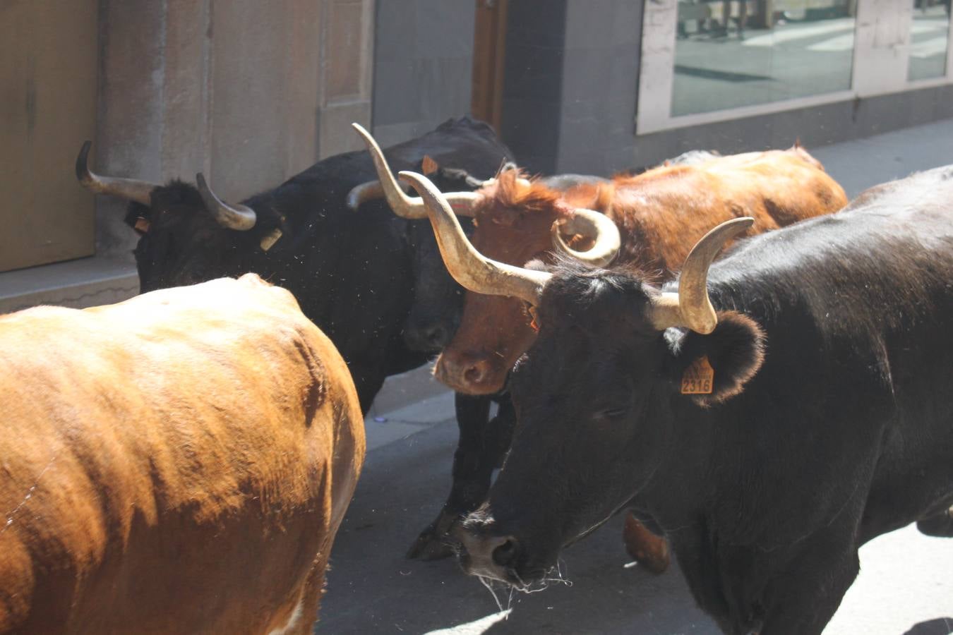 Alfaro cierra las fiestas del Burgo