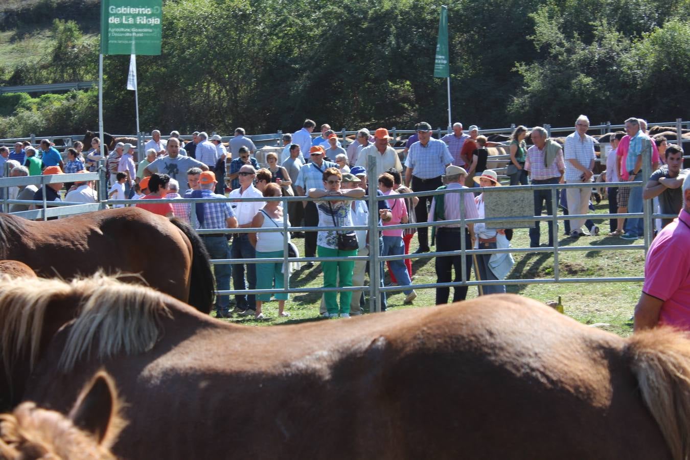 Villoslada de Cameros celebra su tradicional Feria de Ganado