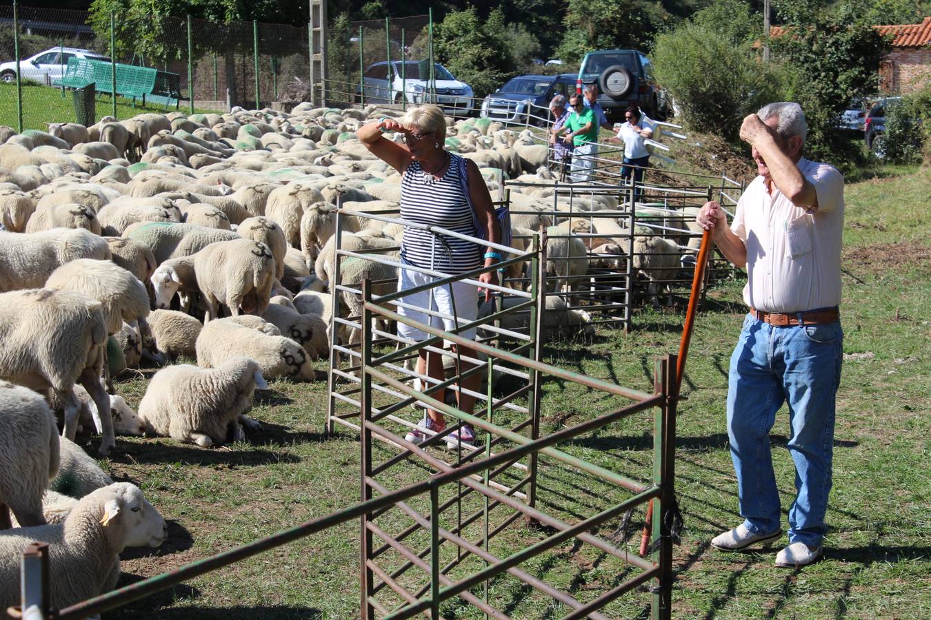 Villoslada de Cameros celebra su tradicional Feria de Ganado