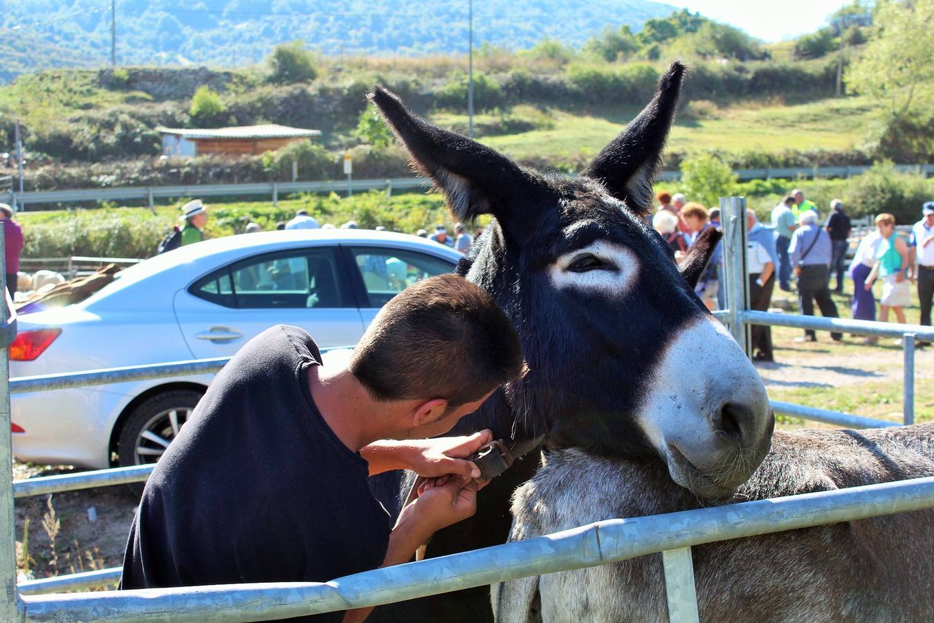 Villoslada de Cameros celebra su tradicional Feria de Ganado