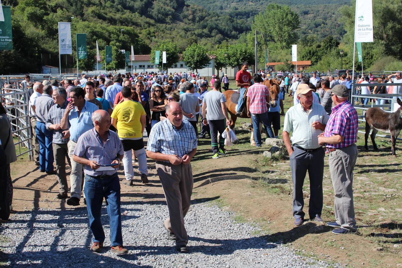 Villoslada de Cameros celebra su tradicional Feria de Ganado