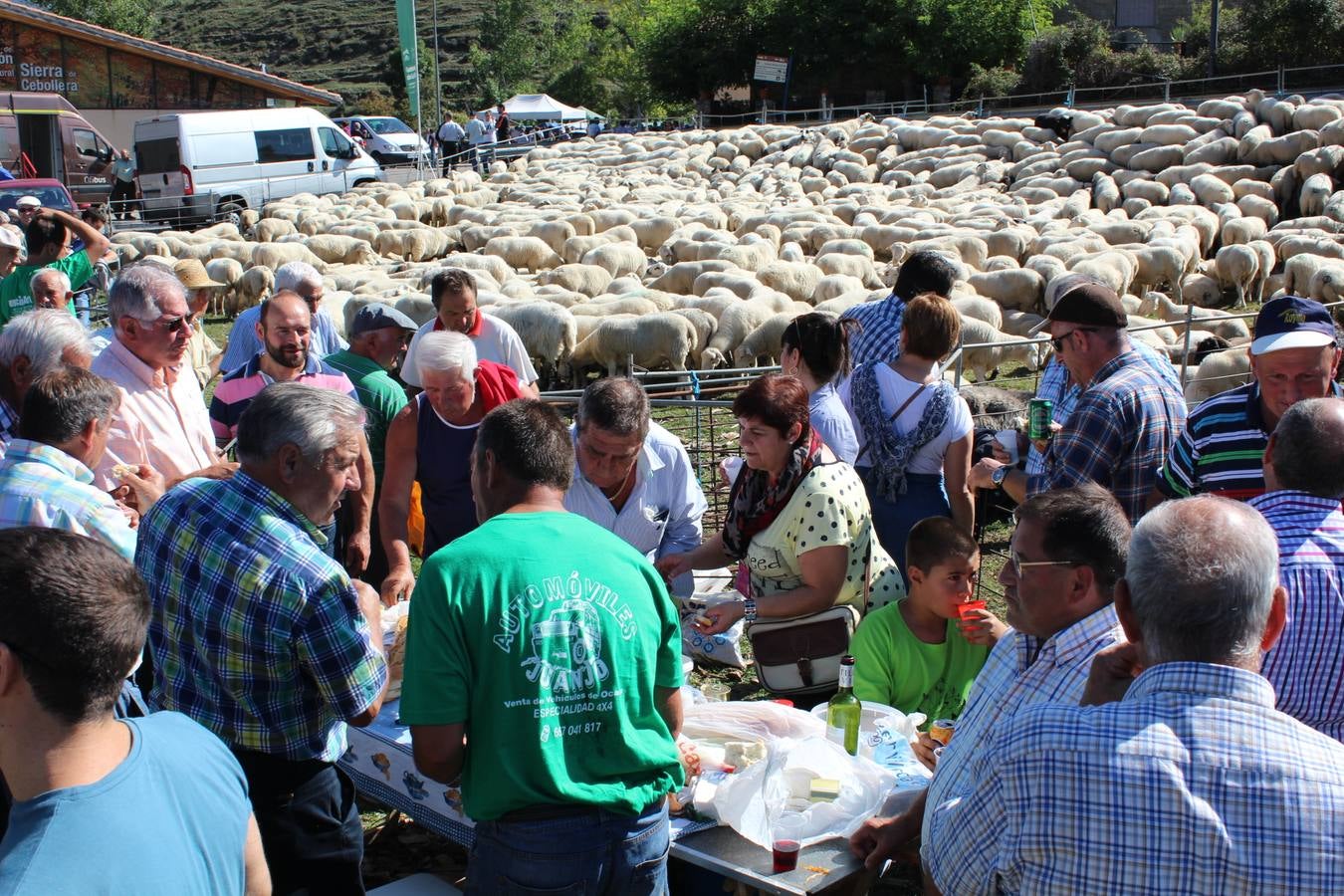 Villoslada de Cameros celebra su tradicional Feria de Ganado