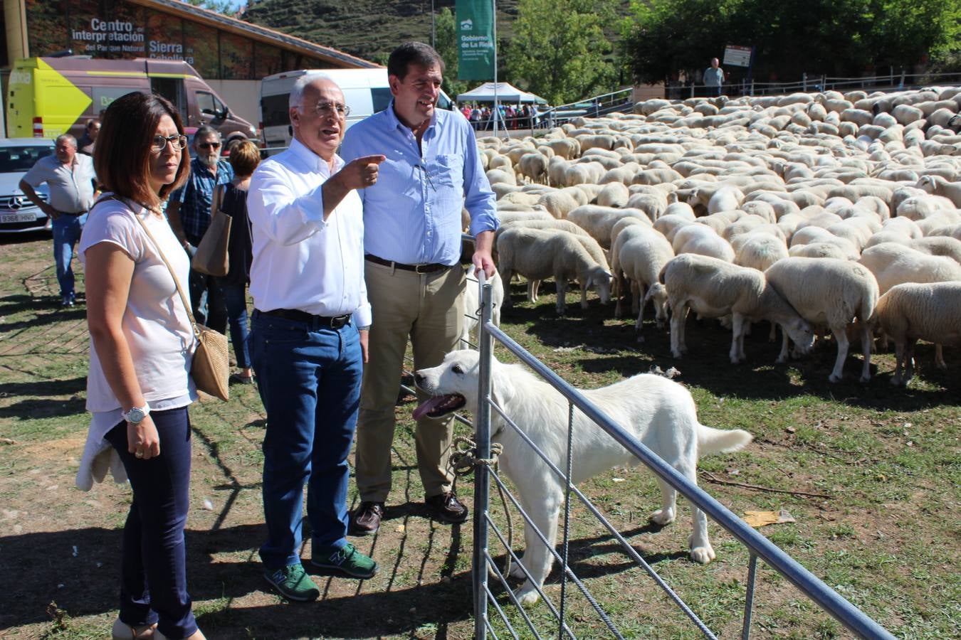 Villoslada de Cameros celebra su tradicional Feria de Ganado