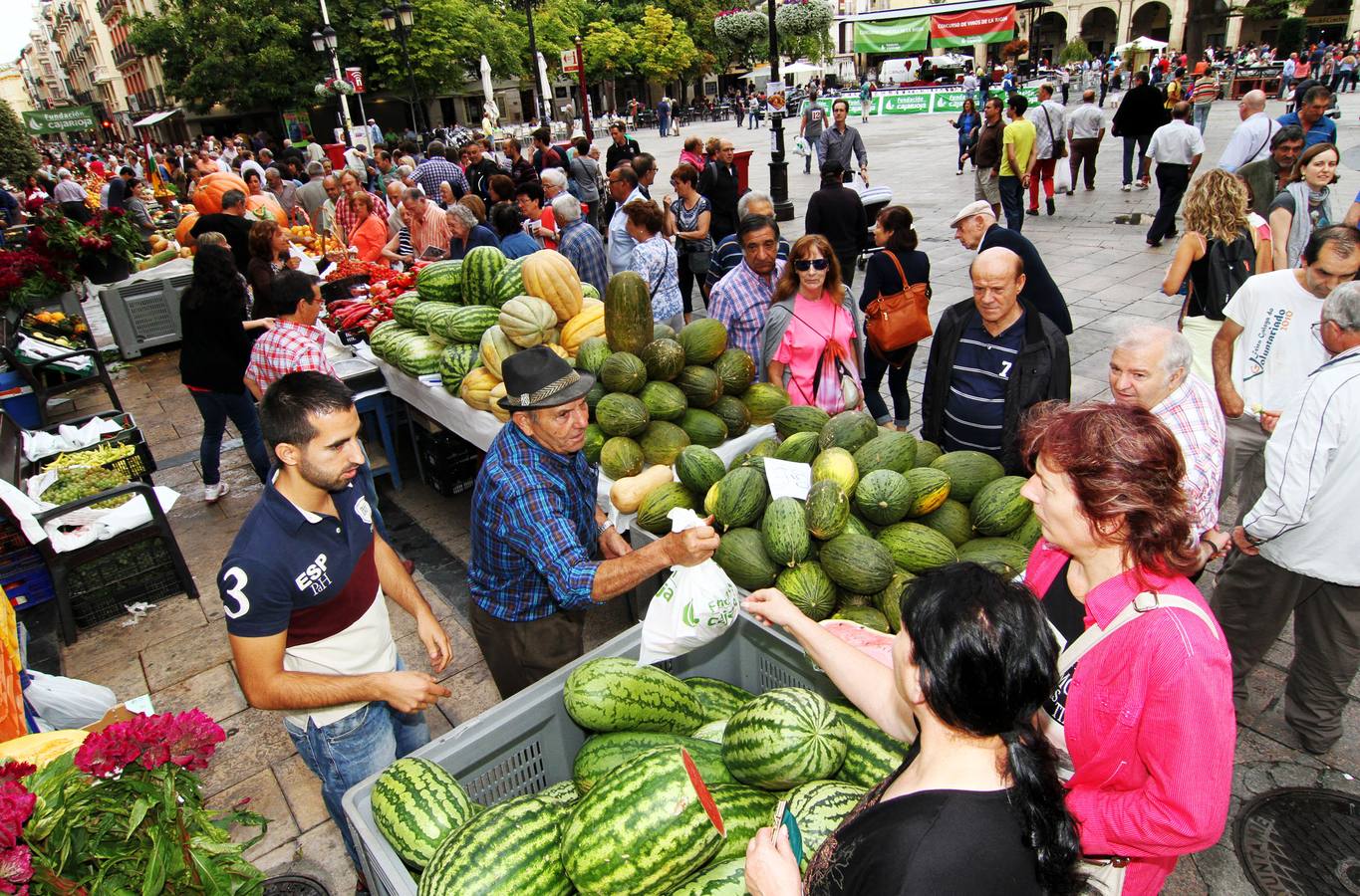 Logroño se vuelve huerta