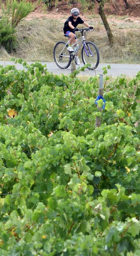 Más de 200 participantes en el quinto Bicipicnic de &#039;El Rioja y los 5 Sentidos&#039;