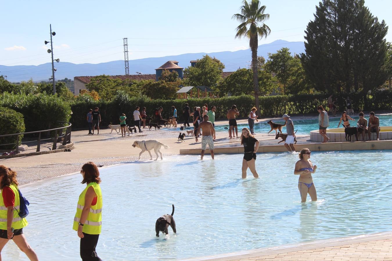 Baño canino en Calahorra