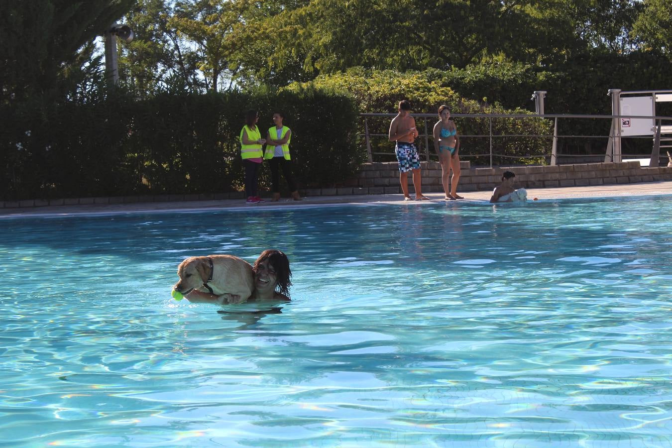 Baño canino en Calahorra