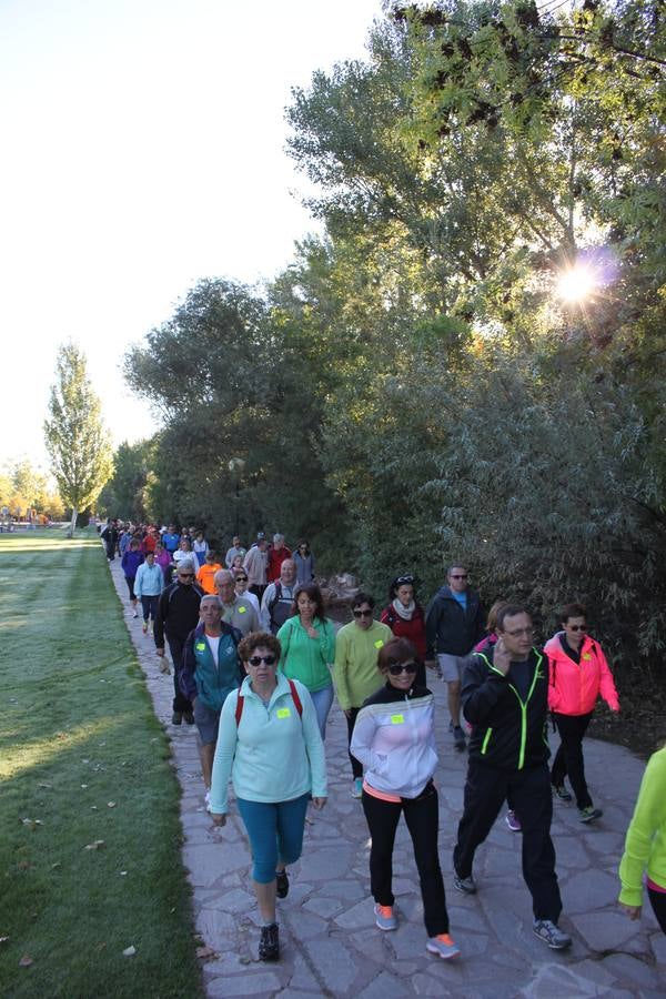 Un caminar unido y sin atajos