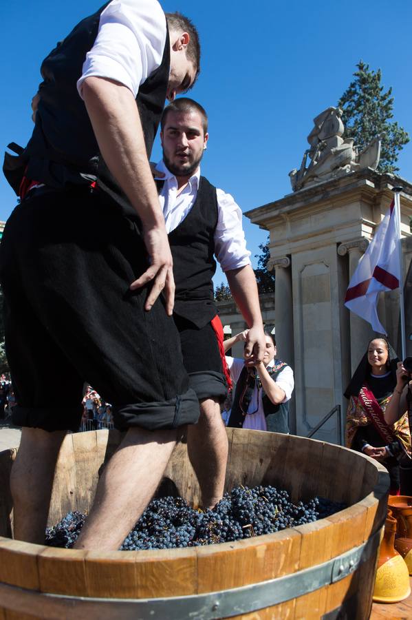 Ceniceros preside su primer pisado de la uva (II)