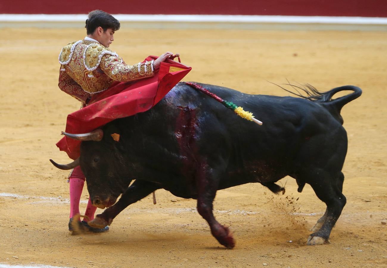 Feria de San Mateo: el domingo