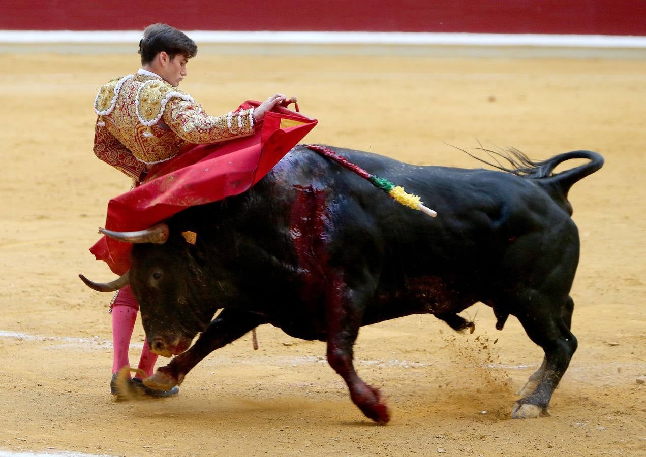 Feria de San Mateo: el domingo