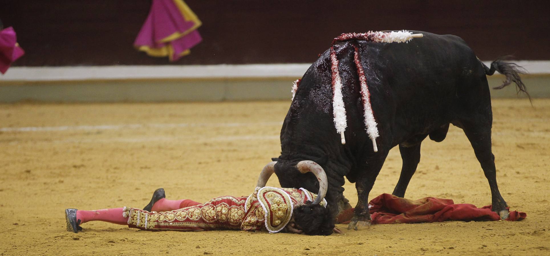 Toros: última de feria