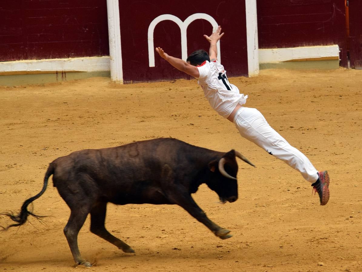 Las últimas vaquillas