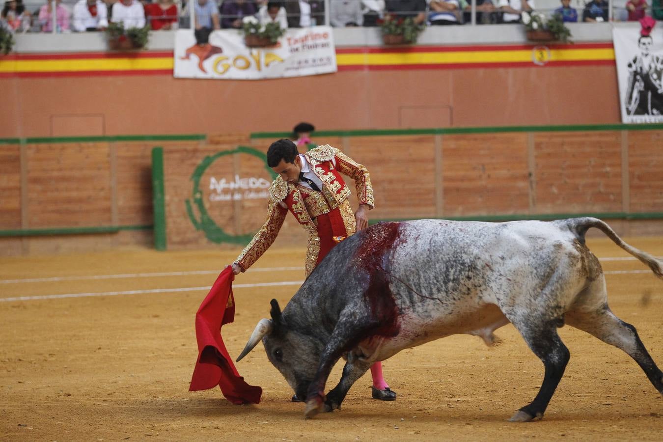 Novillada de Arnedo