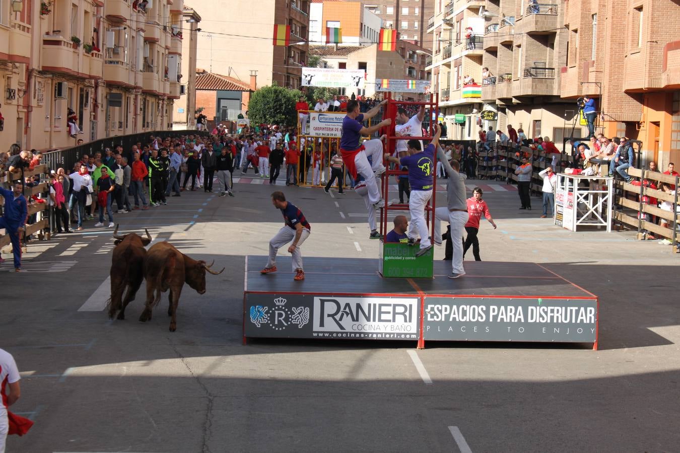 Encierro, Gorgorito, degustaciones...en el cuarto día de fiestas de Arnedo