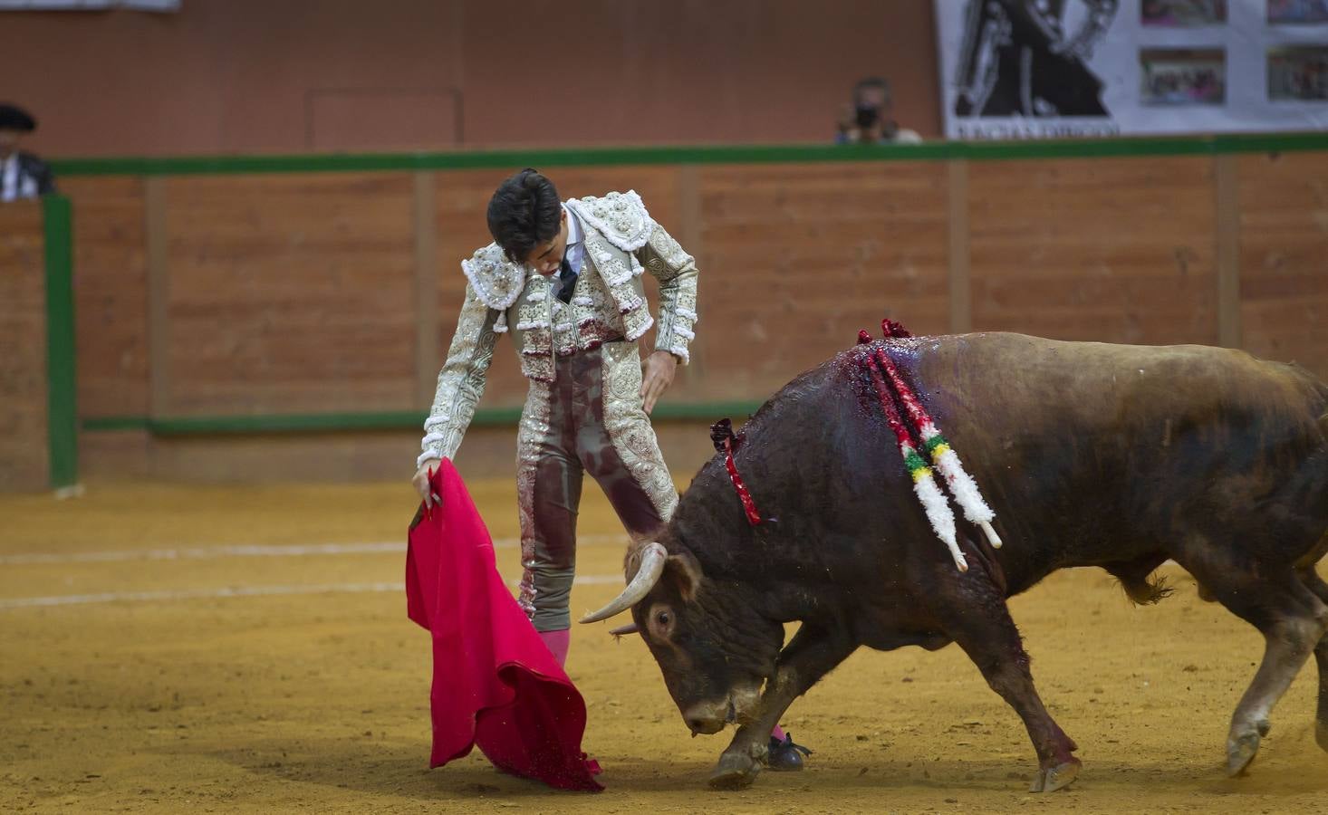 Solitaria oreja para Lorenzo