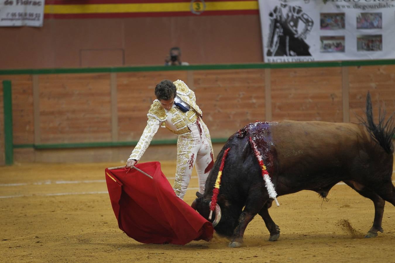 Solitaria oreja para Lorenzo