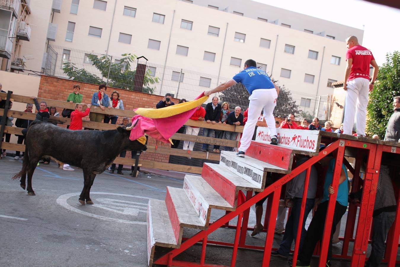 Vaquillas de juguete (y de verdad) en las fiestas de Arnedo