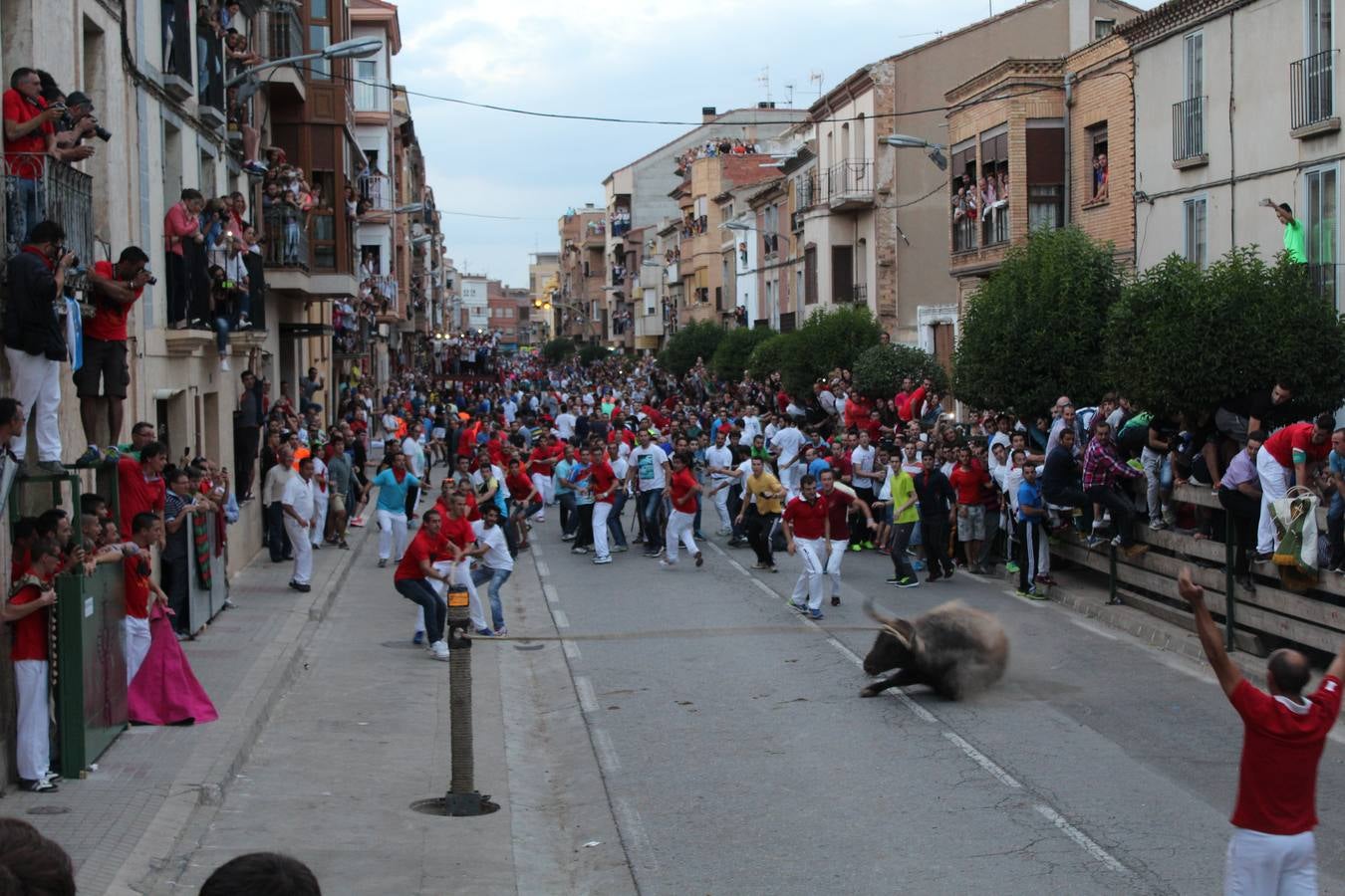 Entre jotas y toros en Rincón