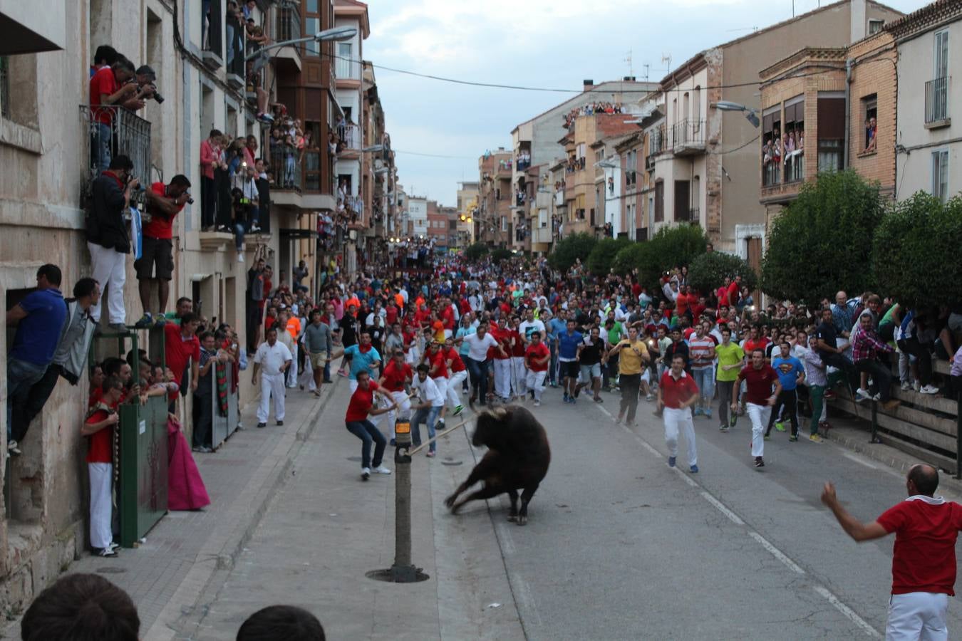 Entre jotas y toros en Rincón