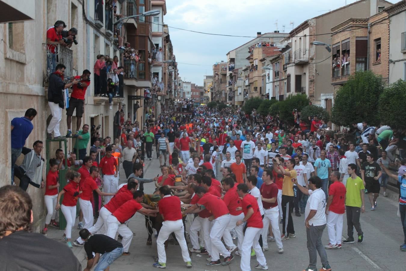 Entre jotas y toros en Rincón