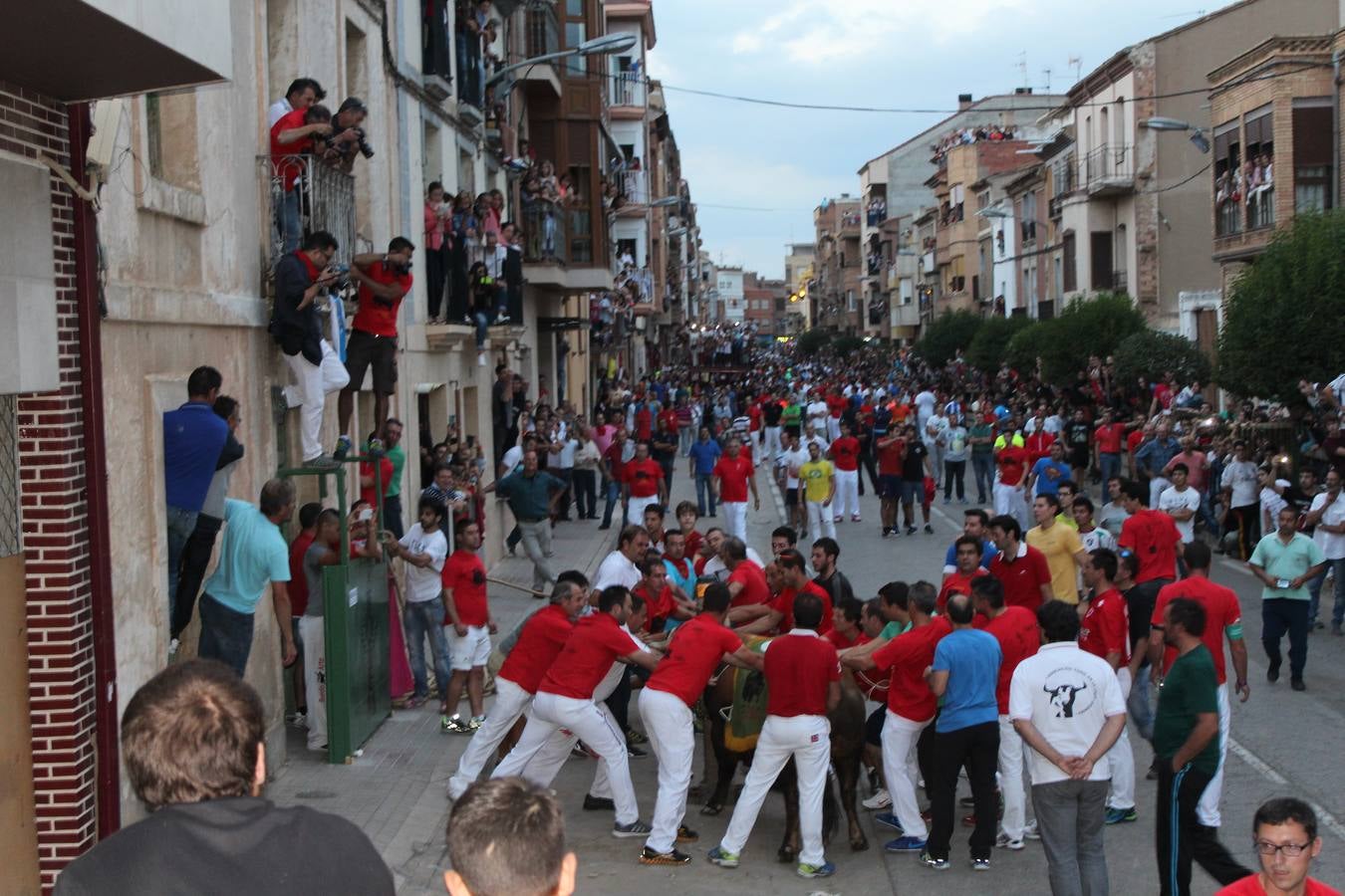 Entre jotas y toros en Rincón