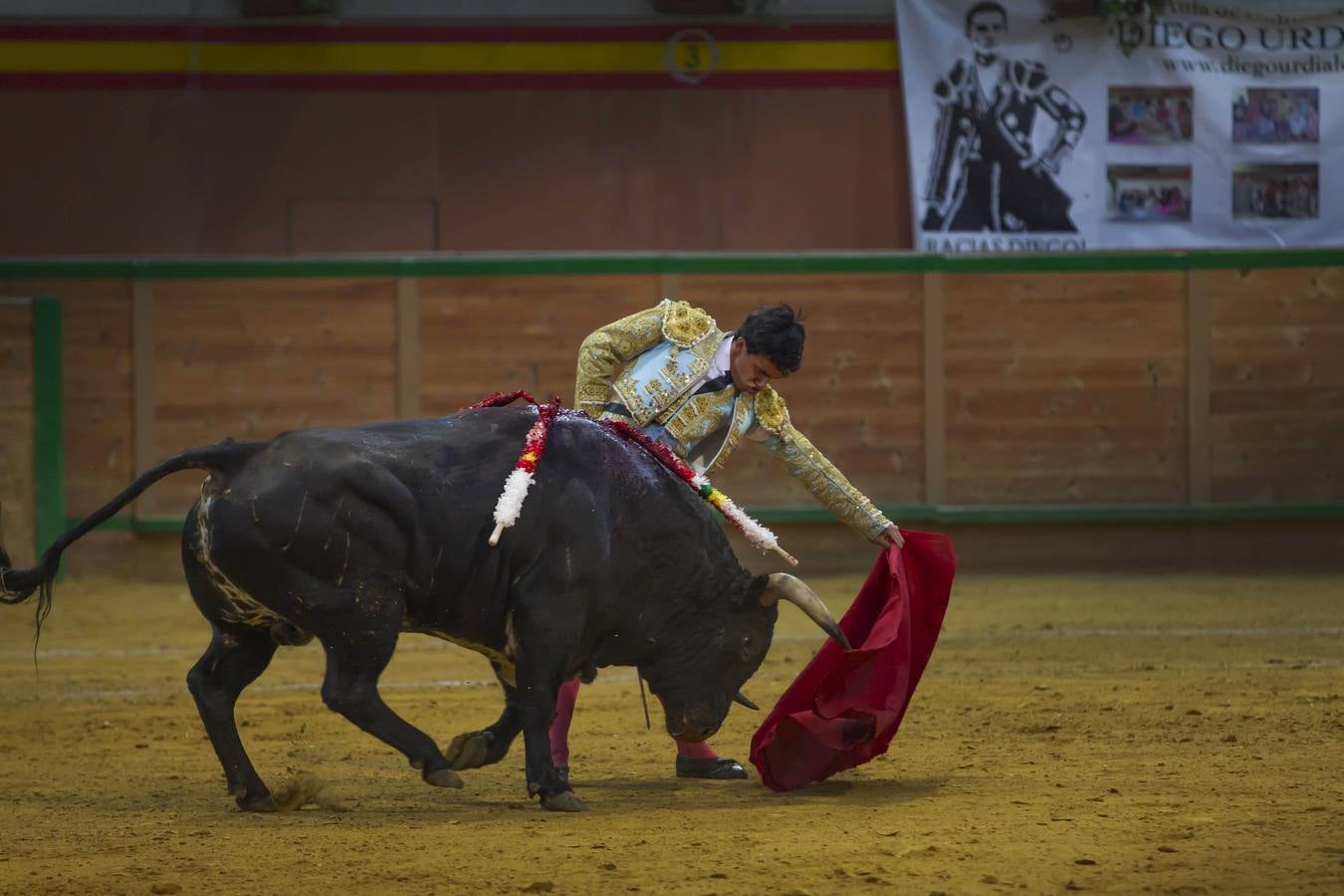 Con las orejas puestas