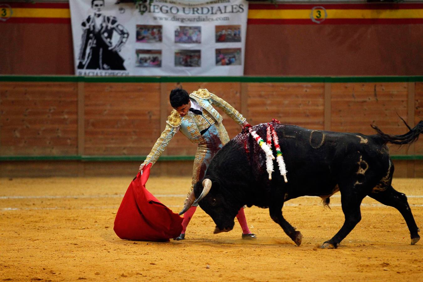 Con las orejas puestas