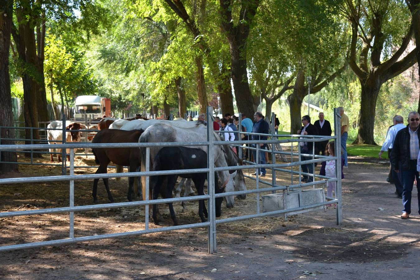 Nájera sigue de feria