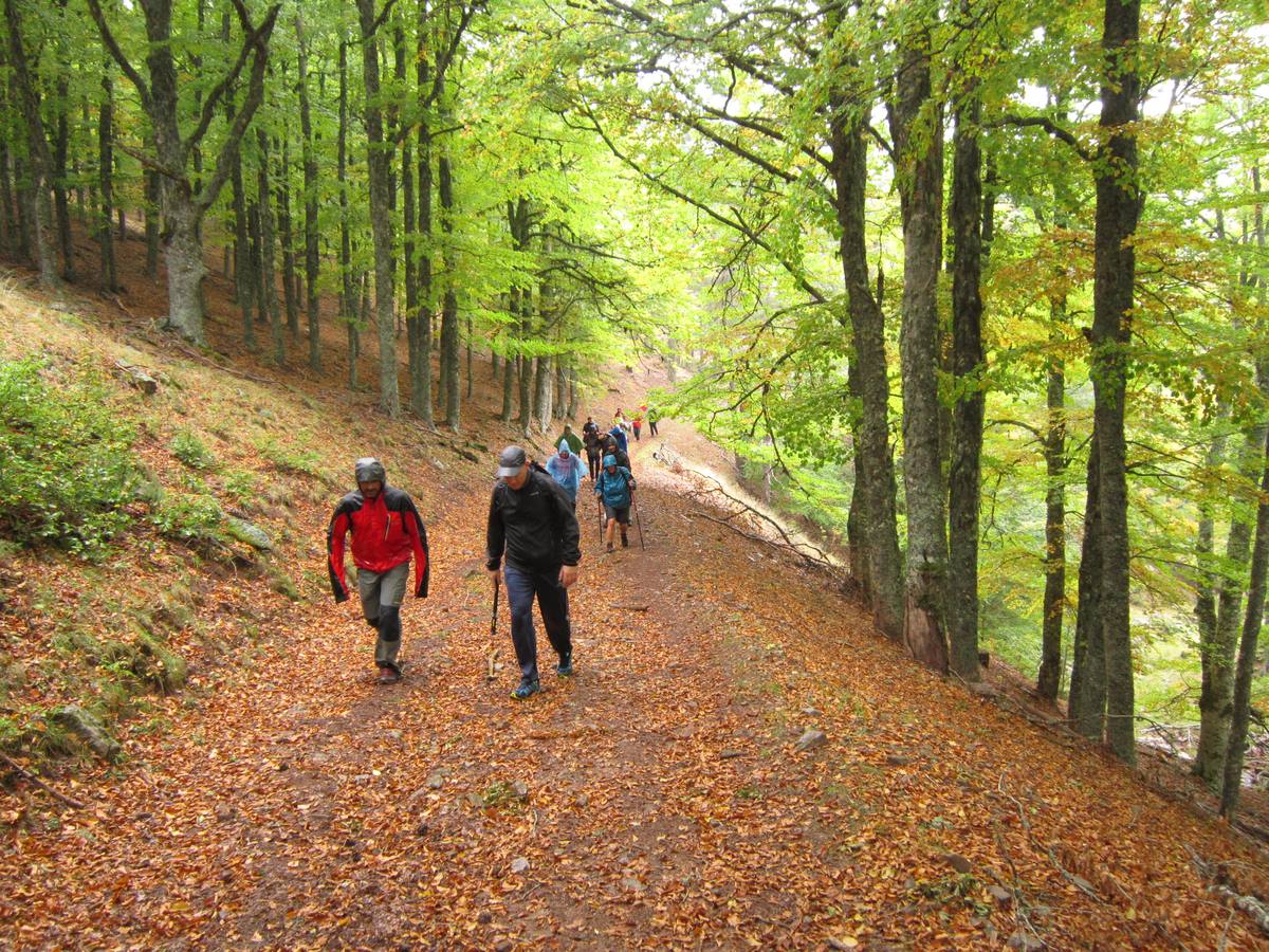 Marcha a Hoyos de Iregua