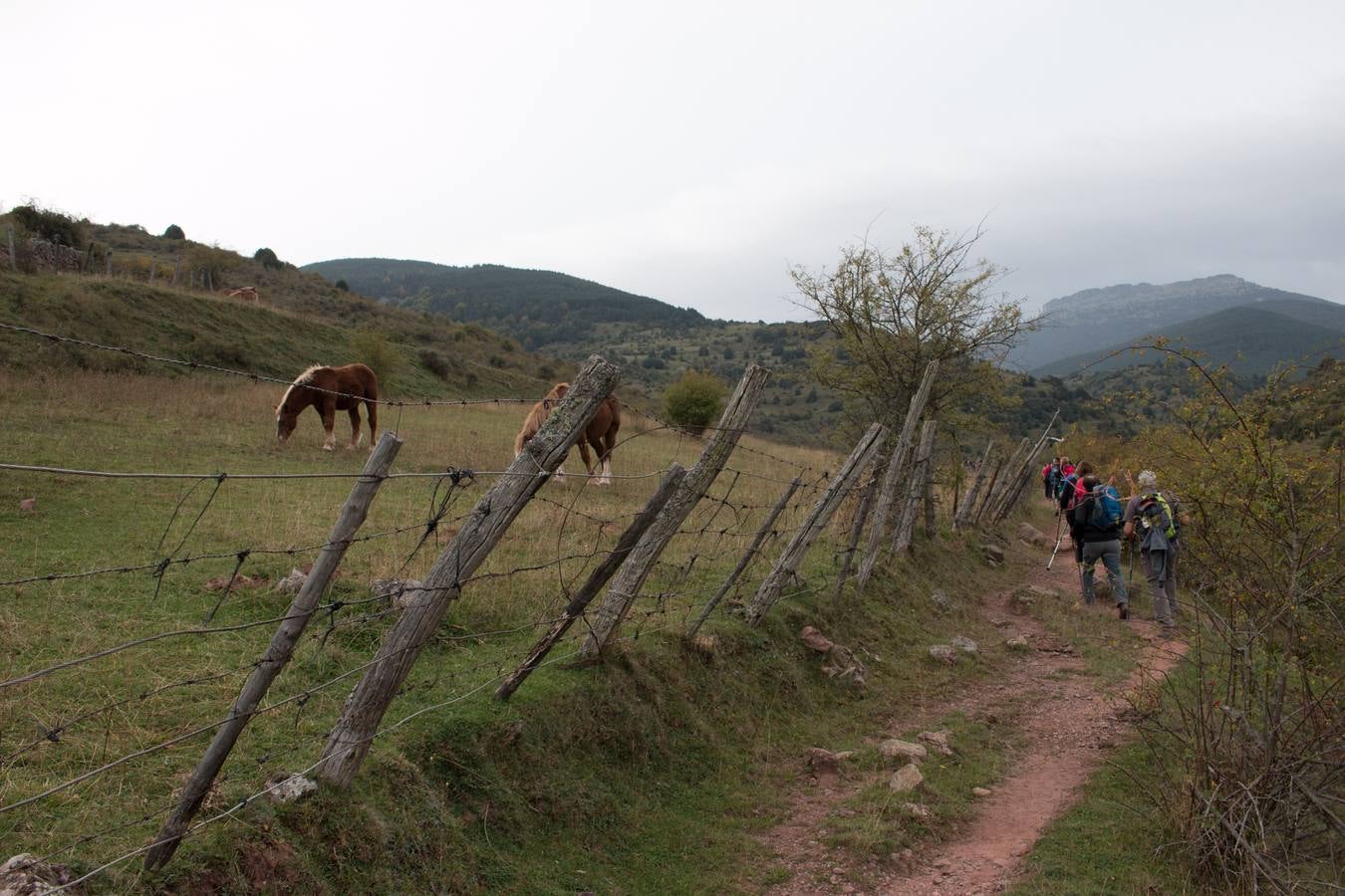 Marcha a Hoyos de Iregua