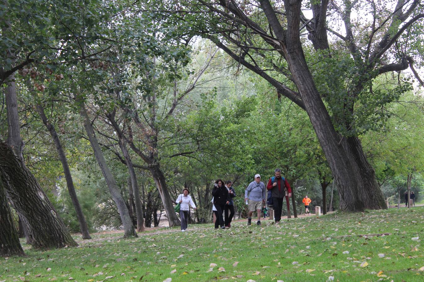 Marcha contra el cáncer en Calahorra