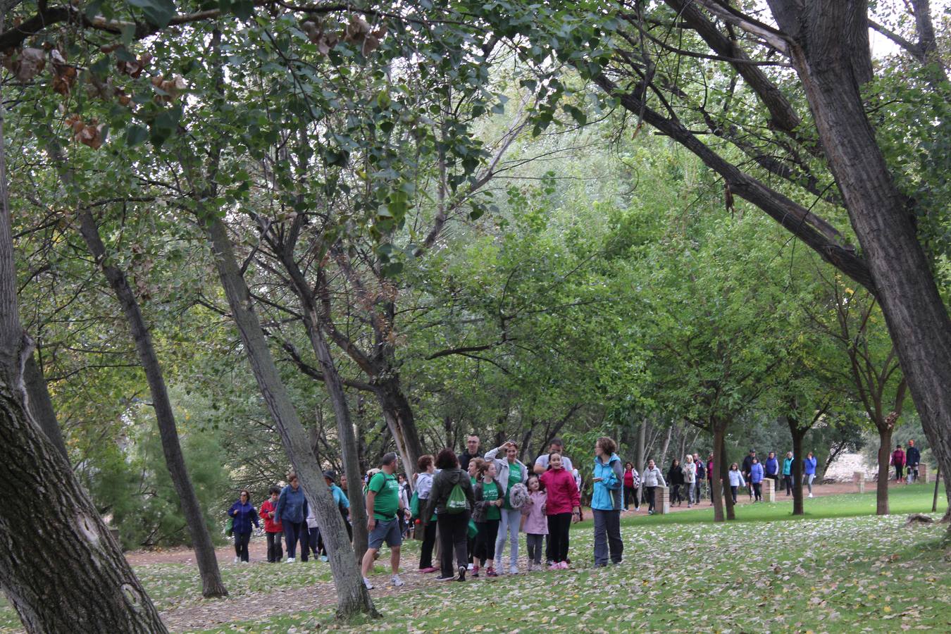 Marcha contra el cáncer en Calahorra