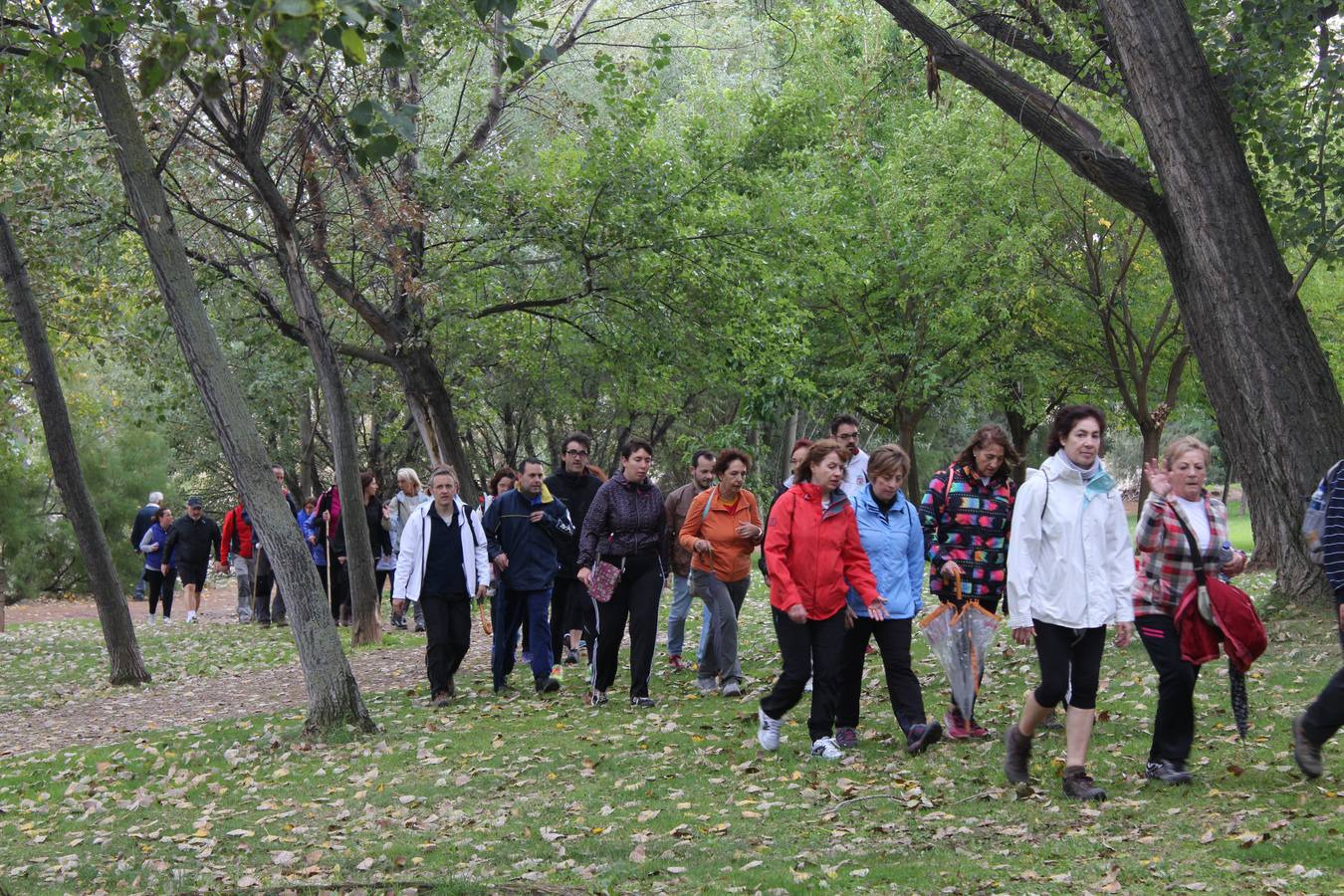 Marcha contra el cáncer en Calahorra