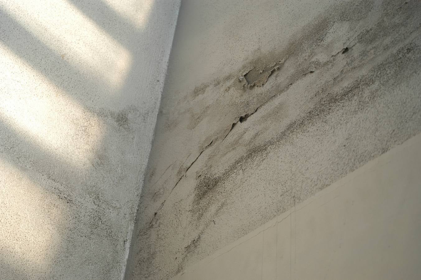 La Albotea no arranca