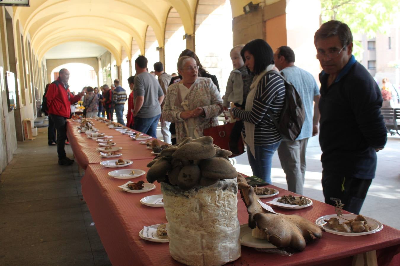 Jornada micológica en Alfaro