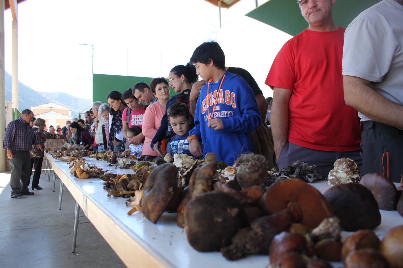 Jornadas micológicas en Arnedillo