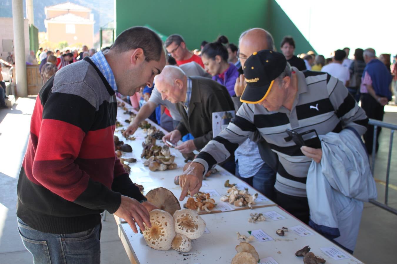 Jornadas micológicas en Arnedillo