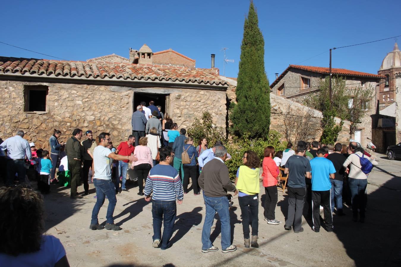 Jornadas micológicas en Villarroya