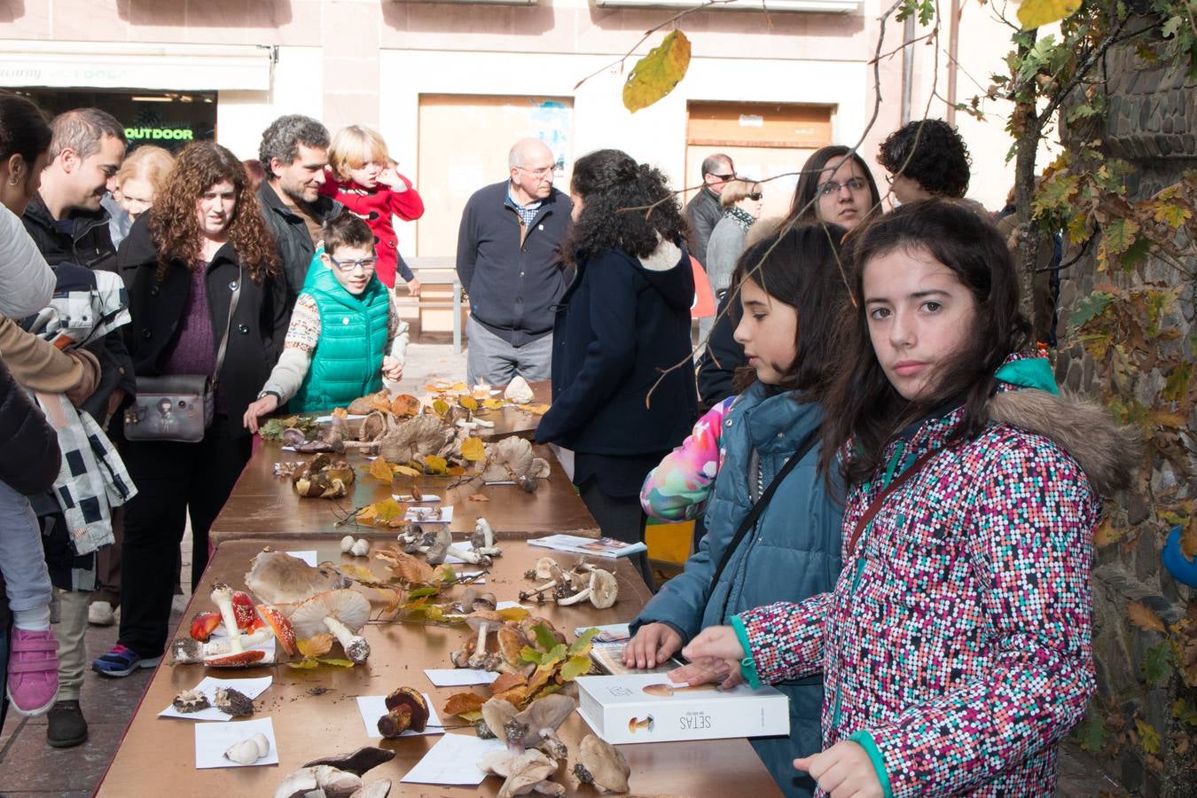 Jornadas micológicas en Ezcaray