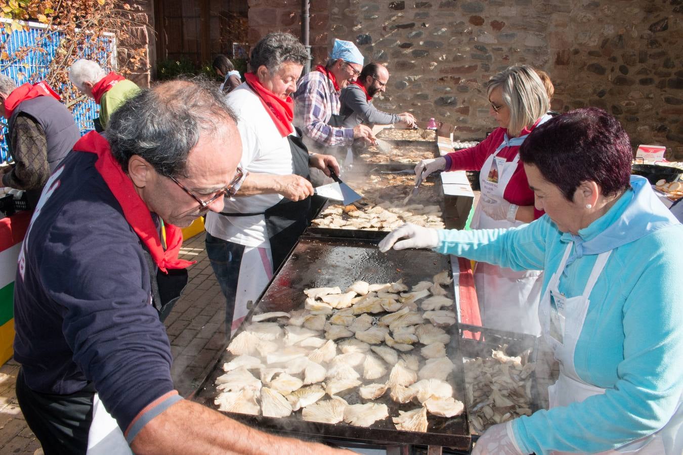 Jornadas micológicas en Ezcaray