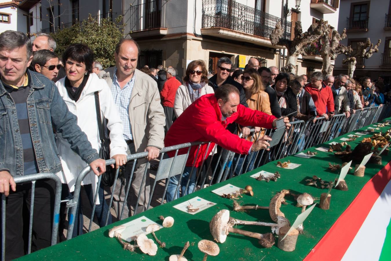 Jornadas micológicas en Ezcaray