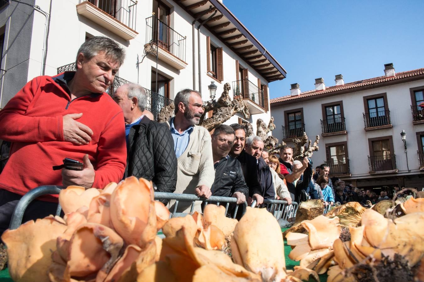 Jornadas micológicas en Ezcaray