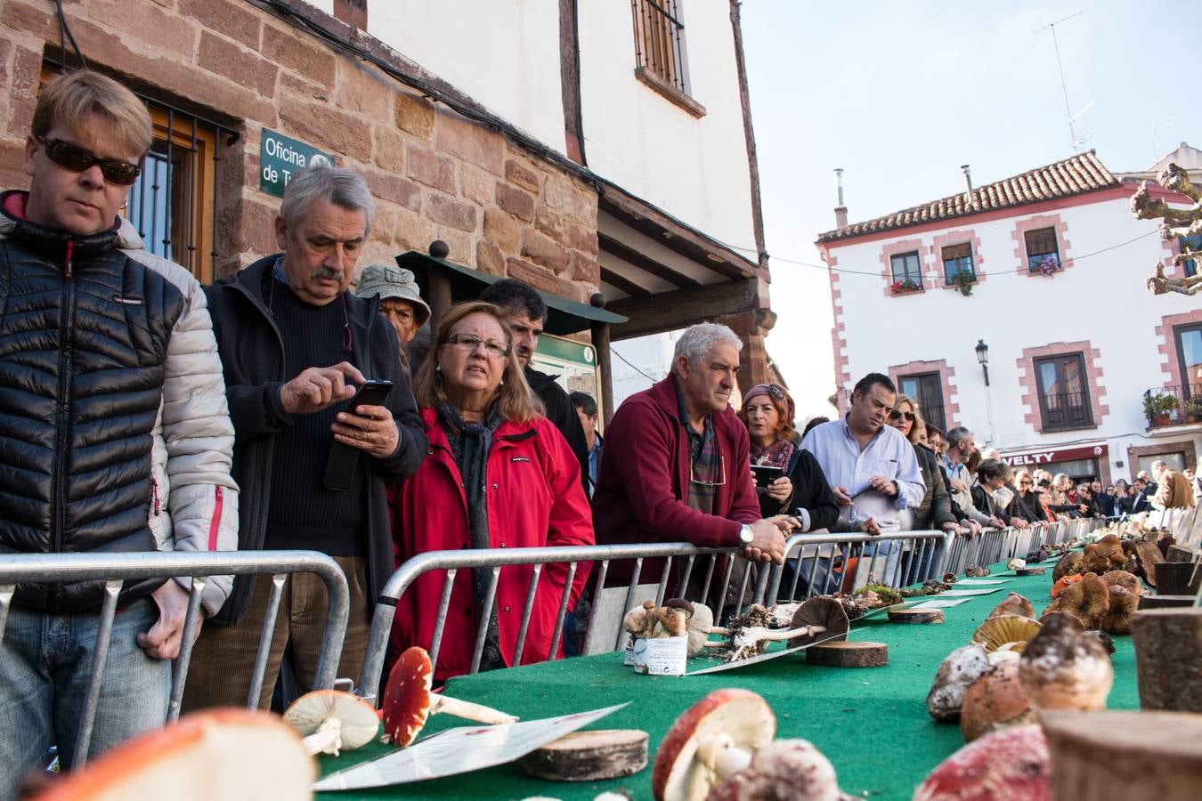 Jornadas micológicas en Ezcaray