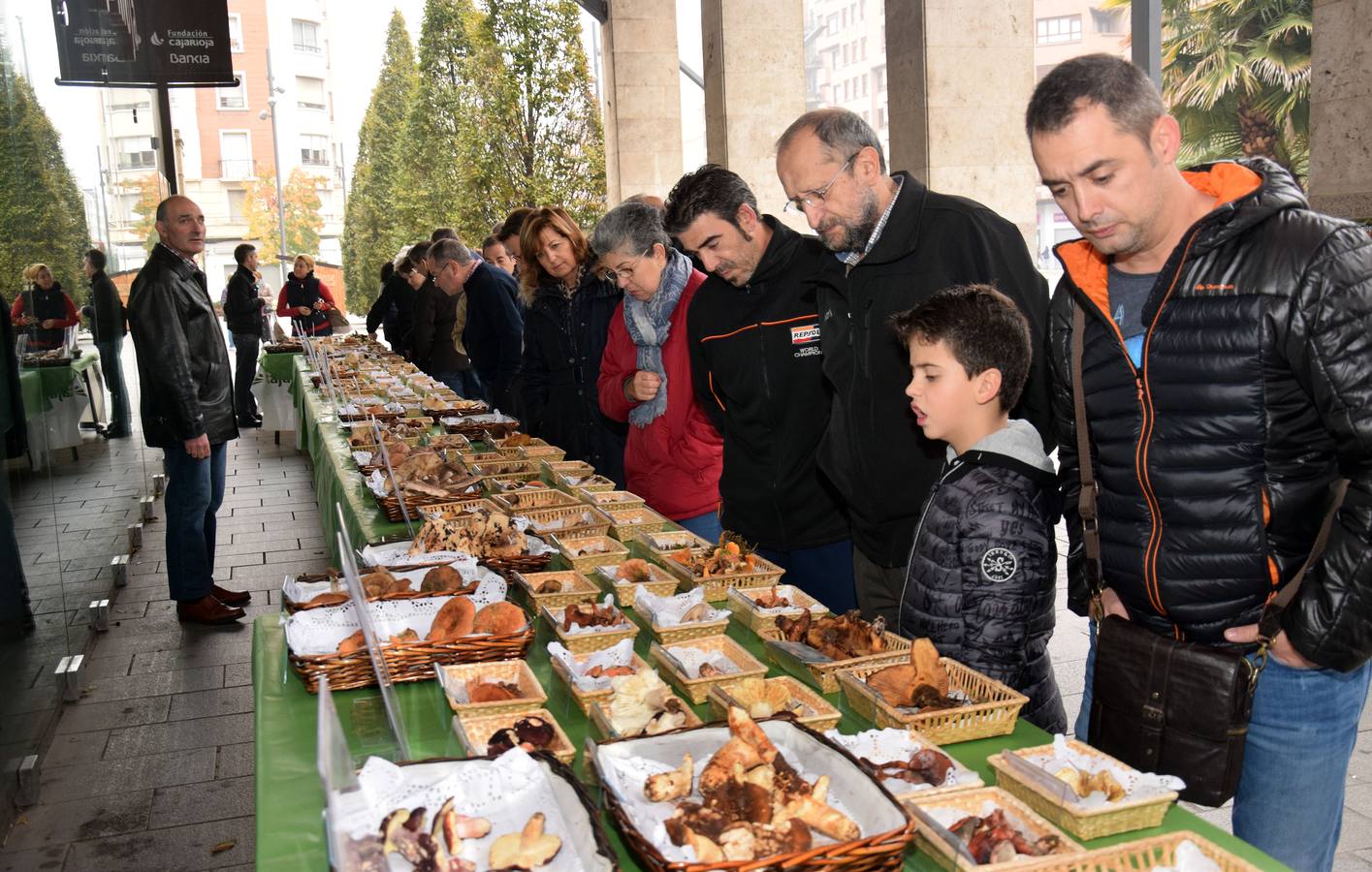 XIV Jornadas Micológicas de Otoño en Logroño